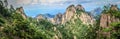 Pine trees in the foreground and rough rocky peaks leading to the horizon in Huang Shan Ã©Â»âÃ¥Â±Â±, Yellow Mountains